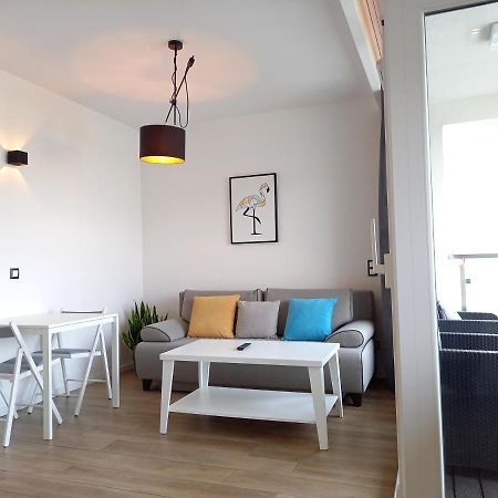 شقة Apartament Pod Debowcem بييلسكو بياوا المظهر الخارجي الصورة